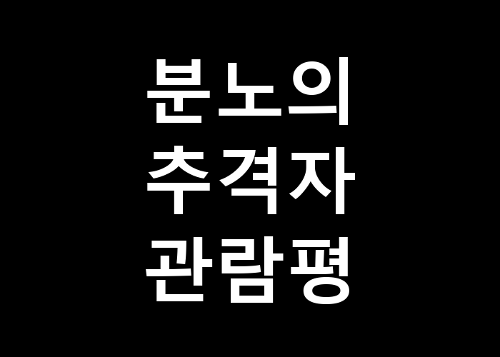 분노의 추격자 - 관람 후 남은 감정