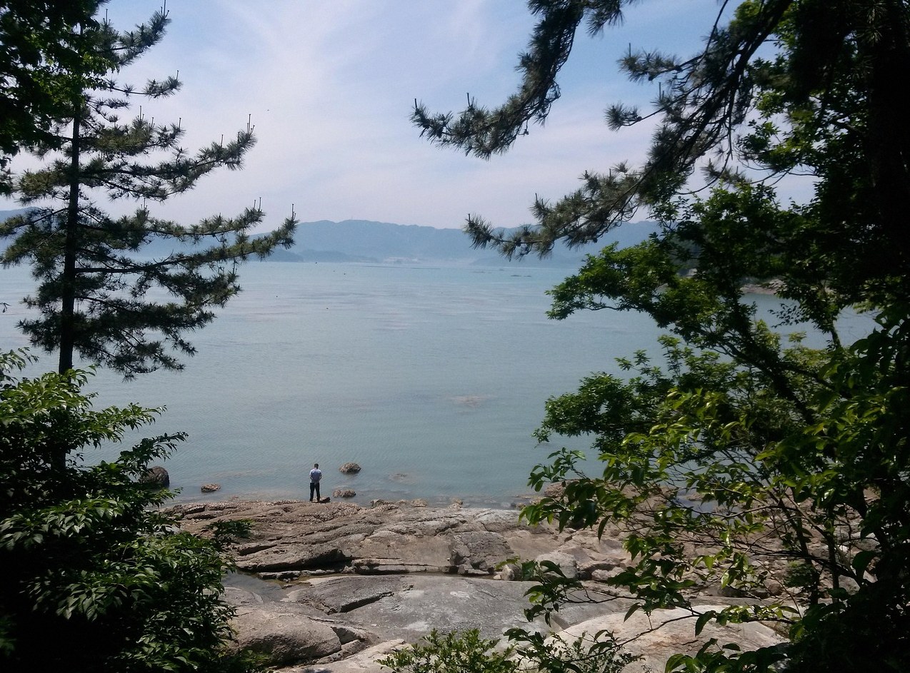 영화 써니데이 관람평 4