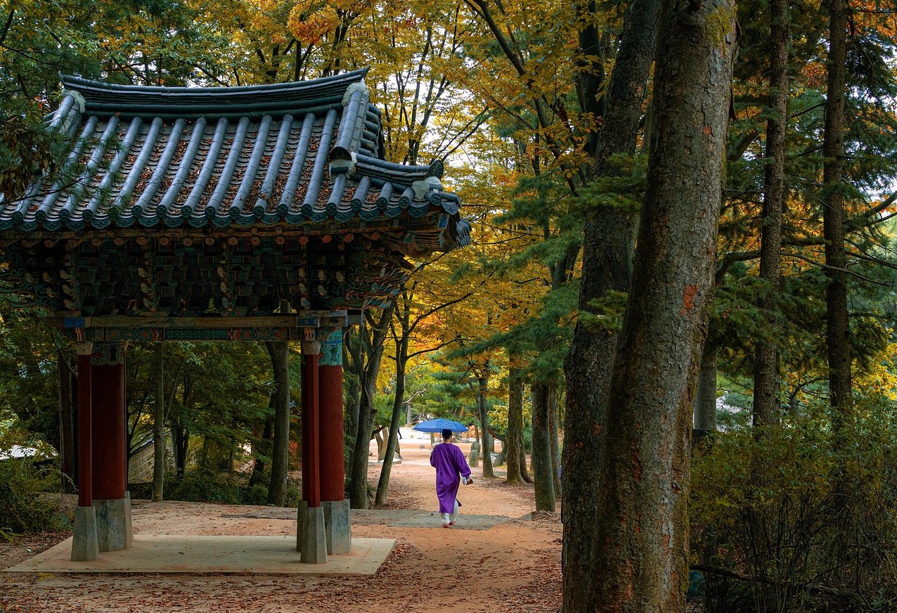 6시 내고향 오만보기 2