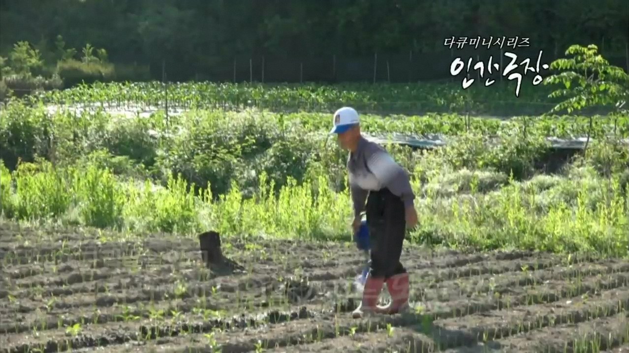 인간극장 99세동환씨 2