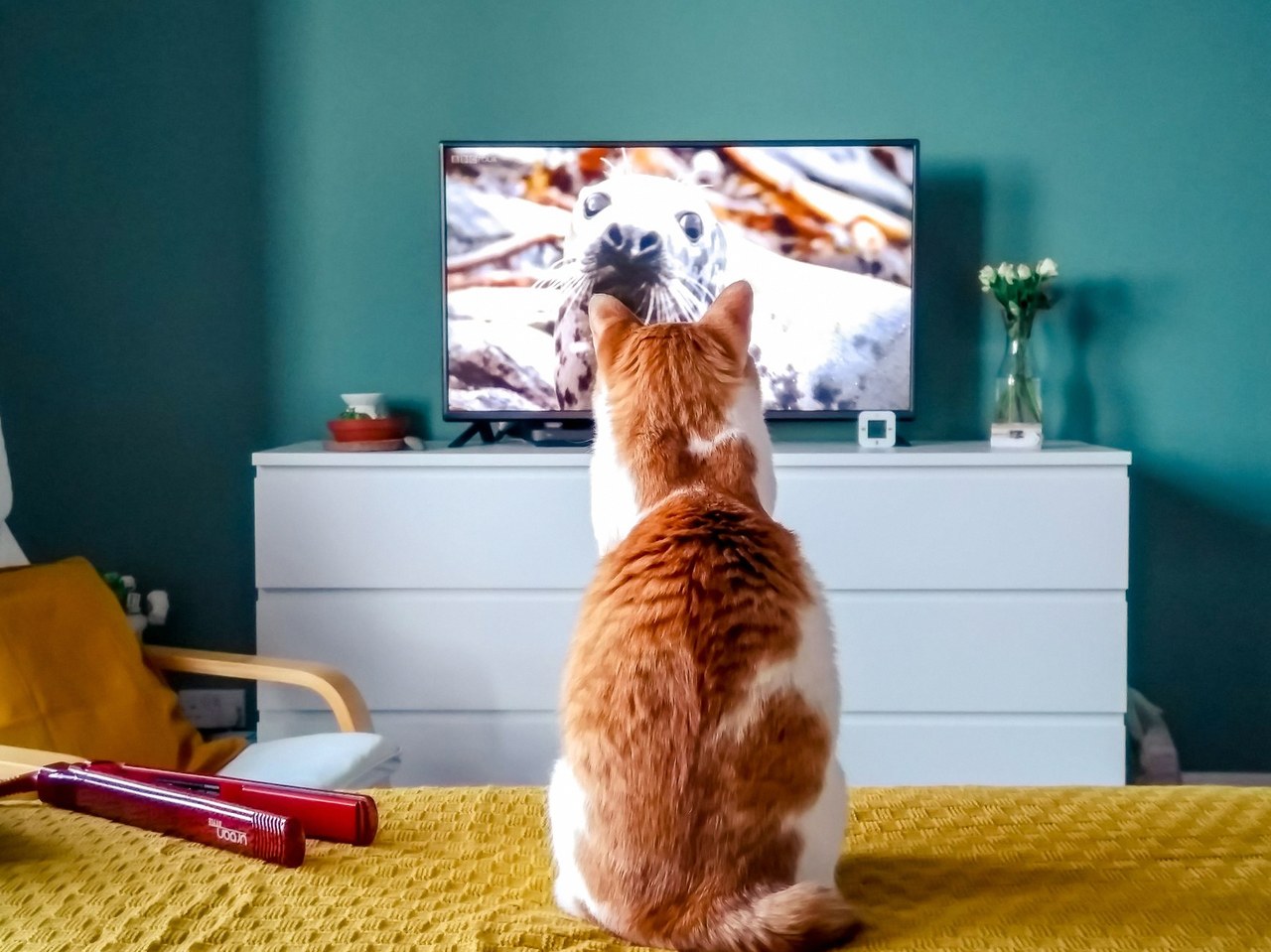 고양이의 보은 ott 1