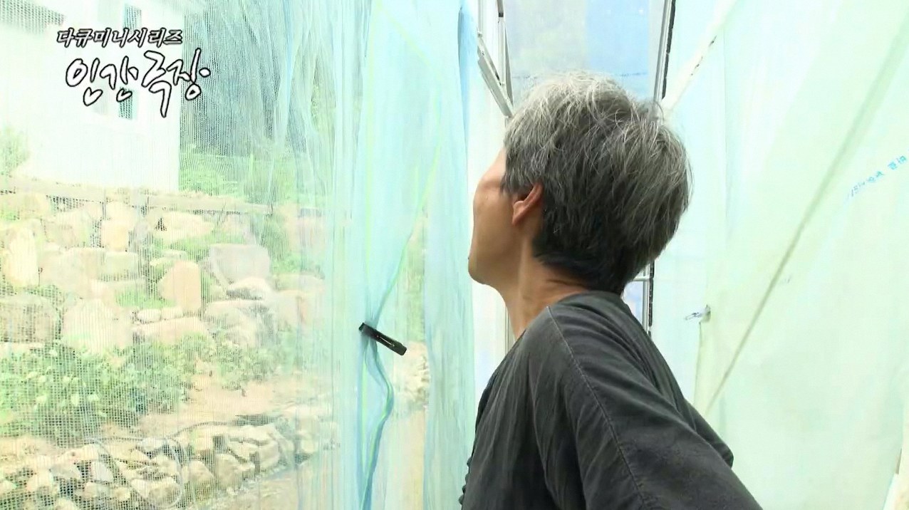인간극장 재방송 2